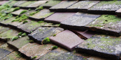 Buckland Common roof repair costs